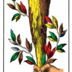 22 Ace of Wands The 1JJ Swiss deck