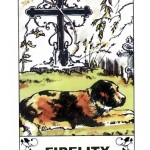 Gypsy Fortuneteller Cards Fidelity