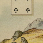Lenormand cards 23