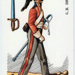 Tarot Napoleon sJ